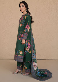 Khaddar 204
