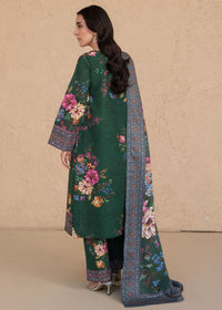 Khaddar 204