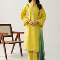 Inzia - Embroidered Solids 2Pc