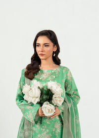 Parvaya